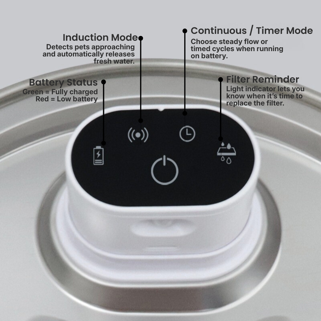 Driply Smart Pet Water Fountain