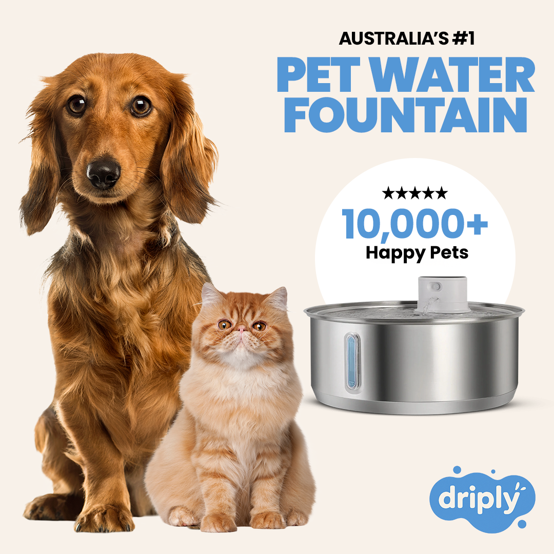 Driply Smart Pet Water Fountain