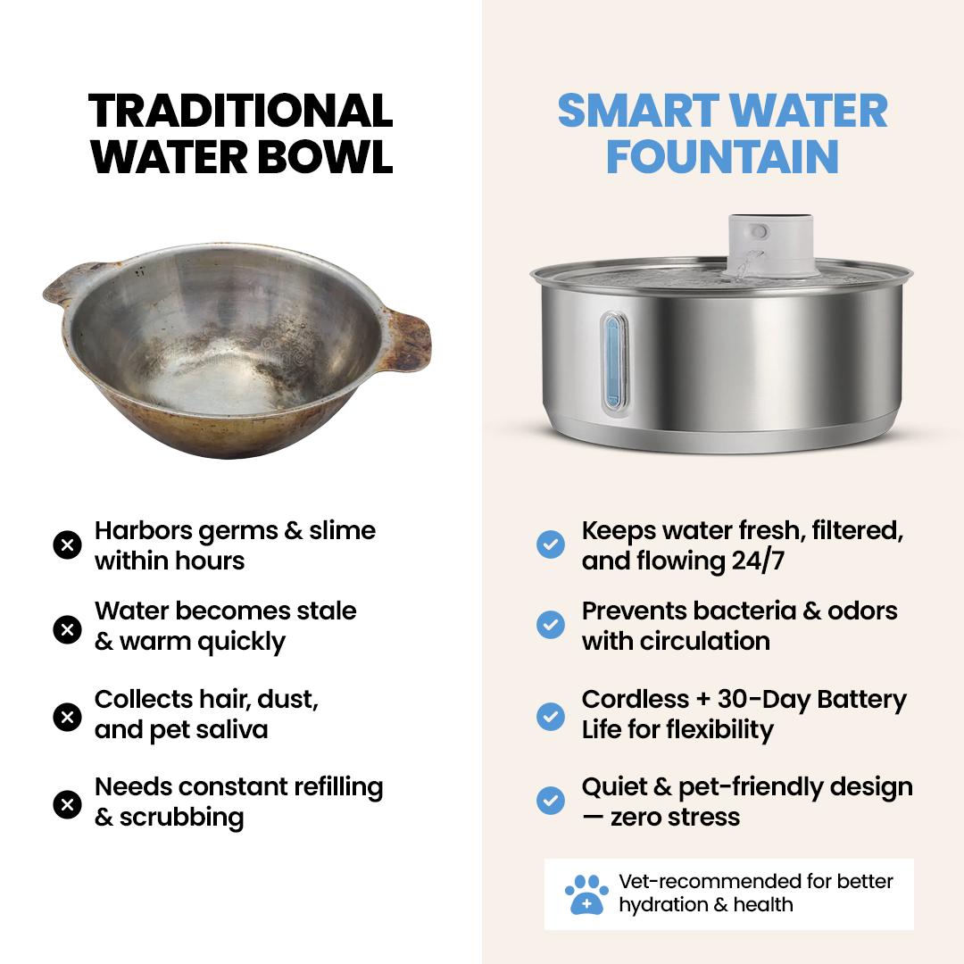 Driply Smart Pet Water Fountain