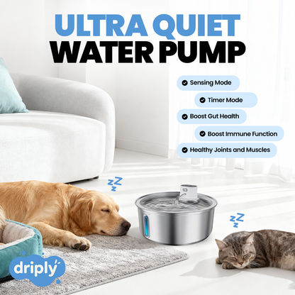 Driply Smart Pet Water Fountain