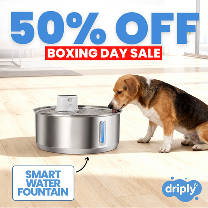 Driply Smart Pet Water Fountain
