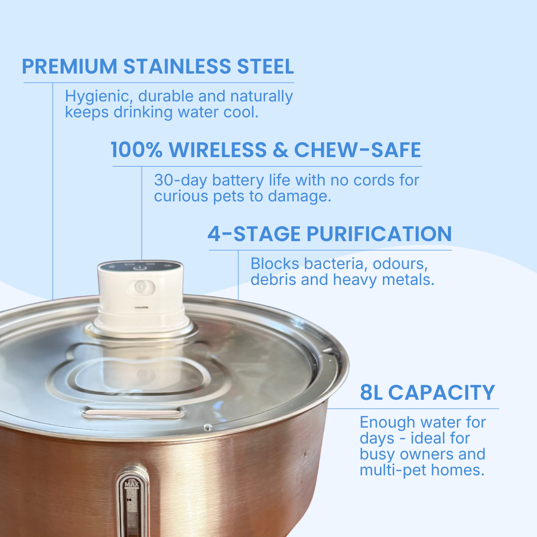 Driply Smart Pet Water Fountain