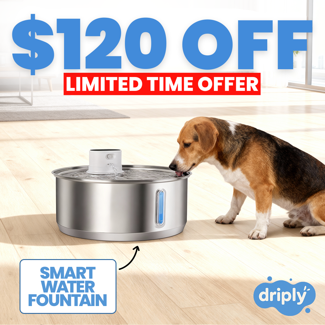 Driply Smart Pet Water Fountain